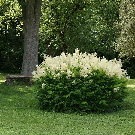 Landgasthof Em Lade Dahlem  Exterior foto