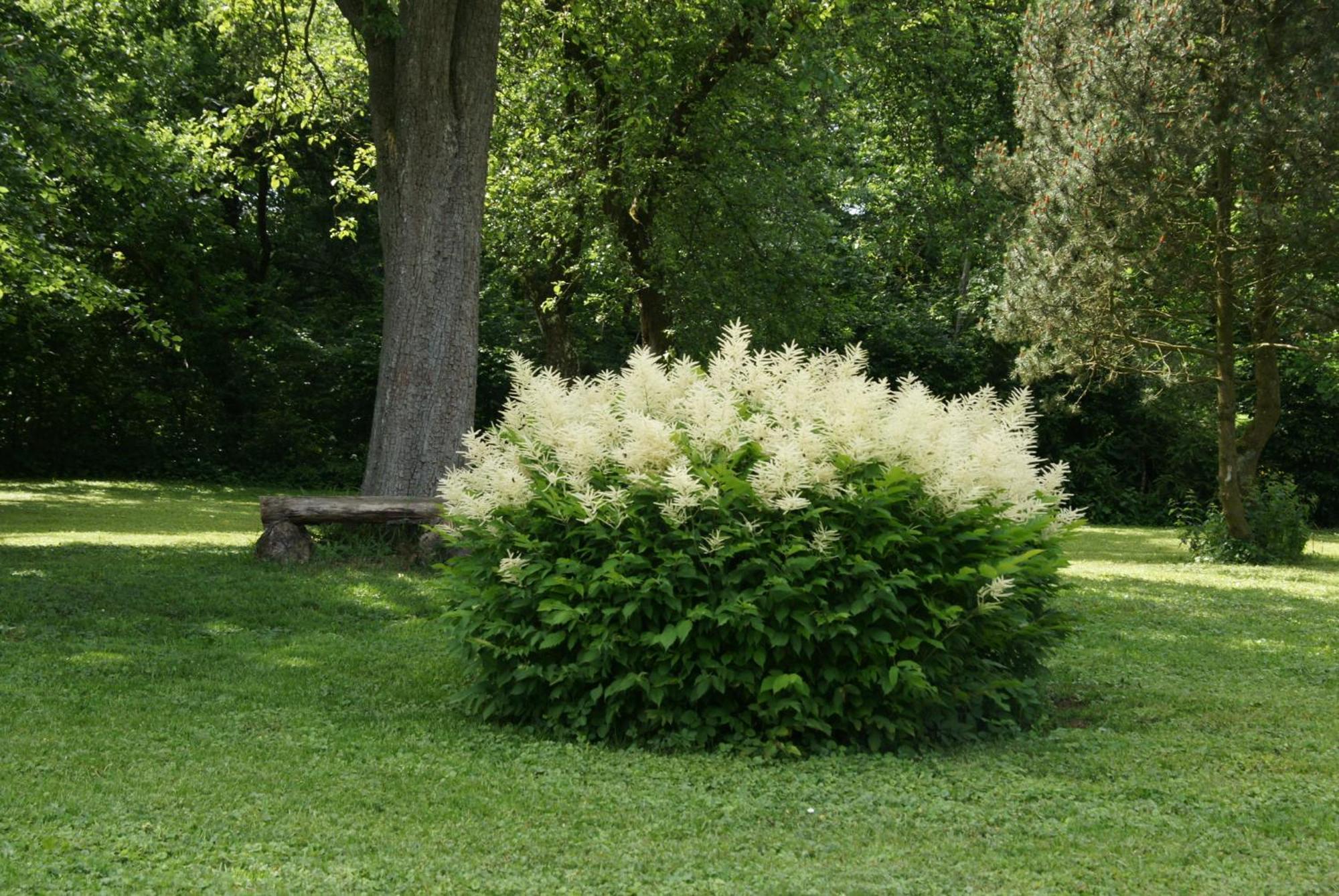Landgasthof Em Lade Dahlem  Exterior foto